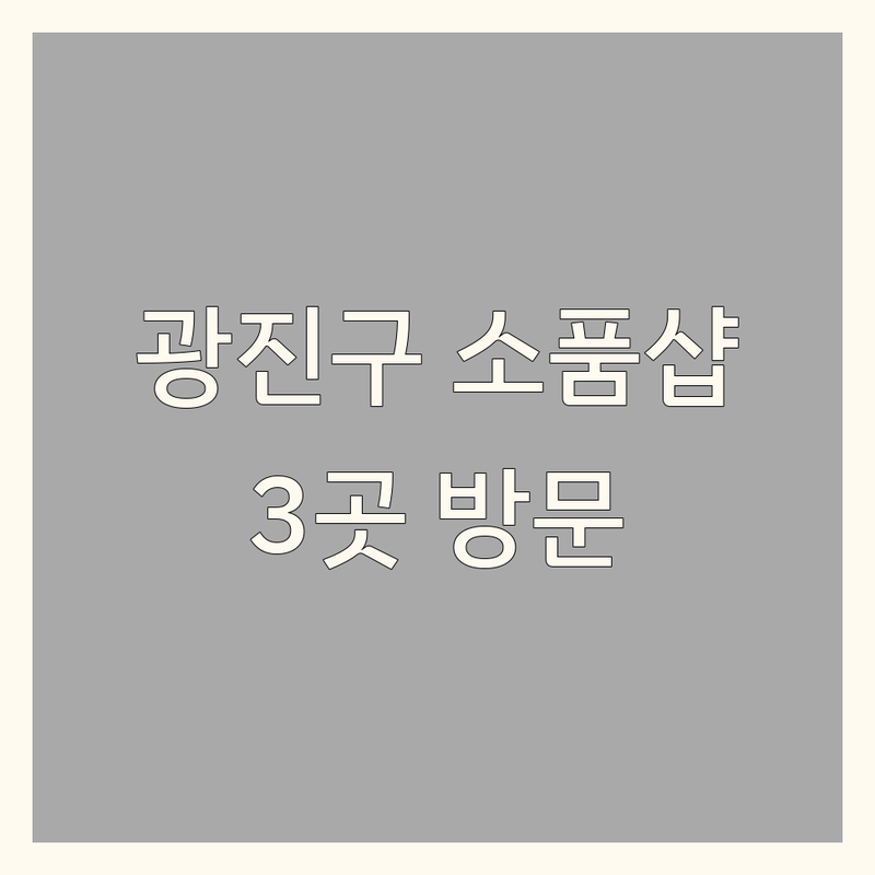 서울 광진구에서 찾은 감각적인 인테리어소품샵 3곳 | 직접 방문 후기 포함