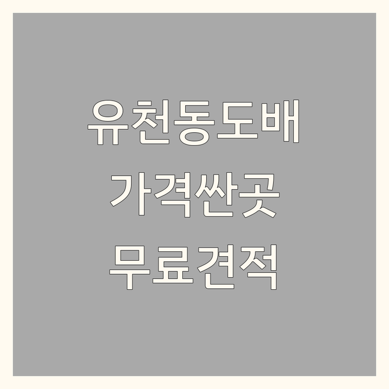 대전 중구 유천동 벽지인테리어 저렴한 곳 가격싼 곳 업체 추천 | 벽지시공 비용 가격 잘하는 곳 | 도배 장판 시트지 인테리어필름 | 출장시공 방문상담 무료견적 | 원룸 아파트 빌라 주거공간