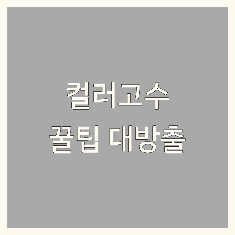 서울 인테리어컬러 잘하는 곳 | 집 인테리어 색상 선택 노하우 | 셀프 리모델링 컬러 매칭 꿀팁 | 실패 줄이는 인테리어디자인 전문가 추천